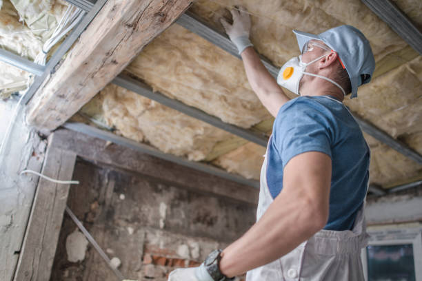 Professional Insulation Contractor in Nokesville, VA