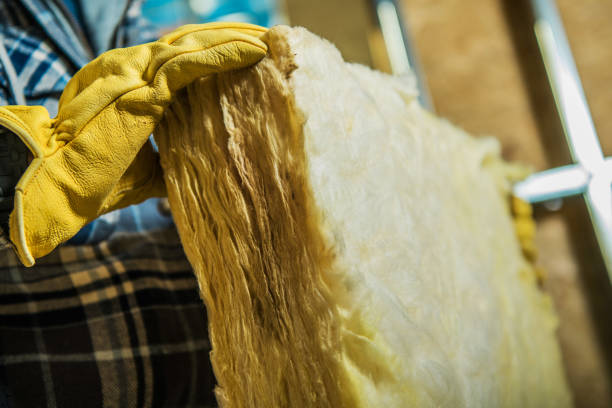 Best Specialized Insulation Services in Nokesville, VA