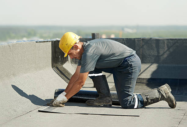 Best DIY Insulation Kits and Guidance in Nokesville, VA