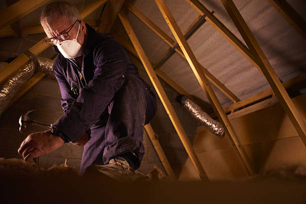Best Commercial Insulation in Nokesville, VA
